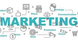 Social Media Ad Copy & Campaign Strategy